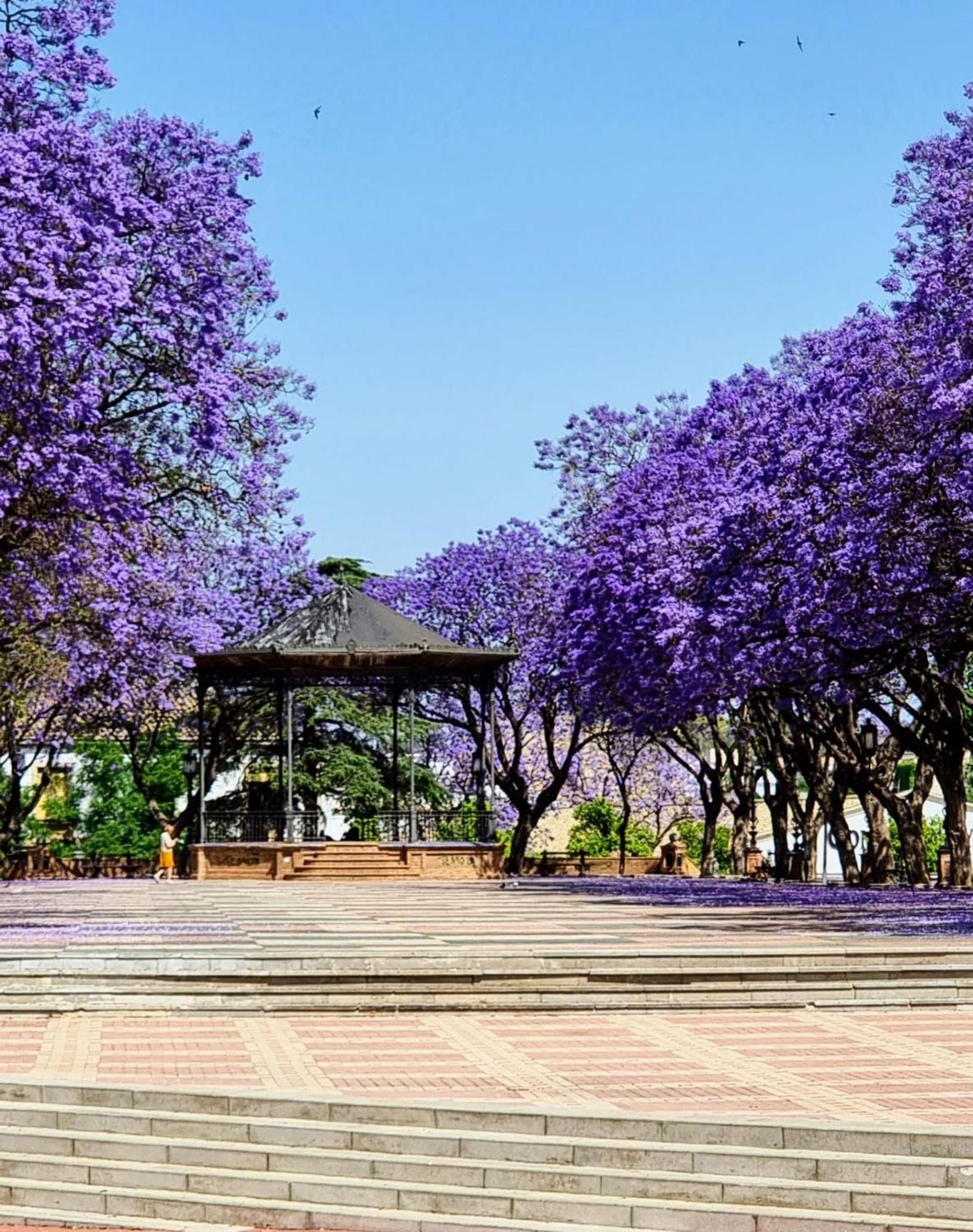 Alazan Jerez Iv-Parking Gratis-Wifi-Netflix Apartment เฮเรซ เด ลาฟรอนเตรา ภายนอก รูปภาพ